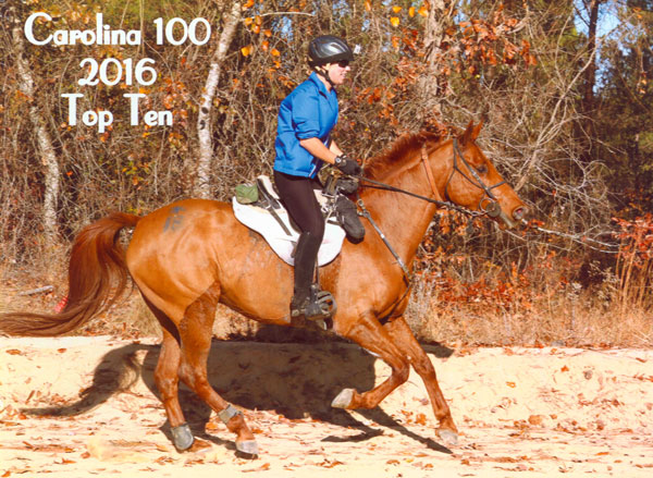 -16f_jds16_duroc_sm