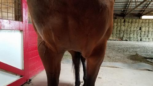 20180723_183044.jpg