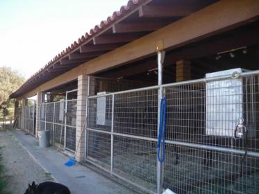 horse-stalls.jpg