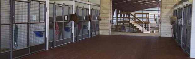 horse-stall.jpg