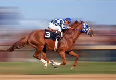 secretariat-2.jpg