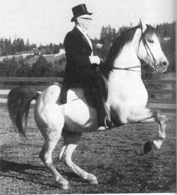 count of al-marah levade 2