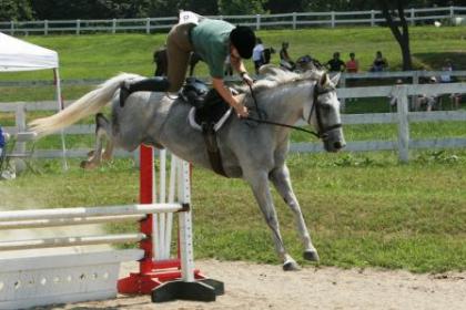 acps08_20D1_8737 compressed and cropped.jpg