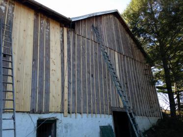 barn siding.JPG