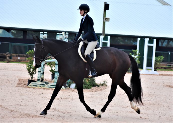 saddlepad
