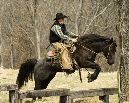 extremecowboyracingmain.jpg