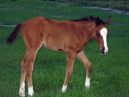 RABBA-WEB4.JPG