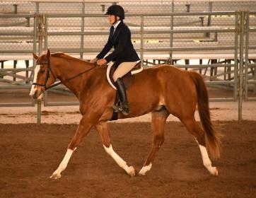 31494309_10214199690260637_4272702559199690752_o.jpg?_nc_cat=102&_nc_sid=8024bb&_nc_oc=AQkpC2kppCXNwCT9y96NeZXIcys9wP6tqI9jUagrktE0uECB3o7iIeJWCFFBNgY34DI&_nc_ht=scontent-dfw5-2.xx&_nc_tp=7&oh=19c55f16529a55d34027470e6f5e7a92&oe=5E.jpg