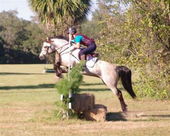 TopGunRHFall2012.005.jpg