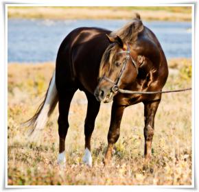 daventryfarms_0310_0230.jpg