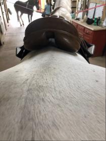 Saddle_2.jpg