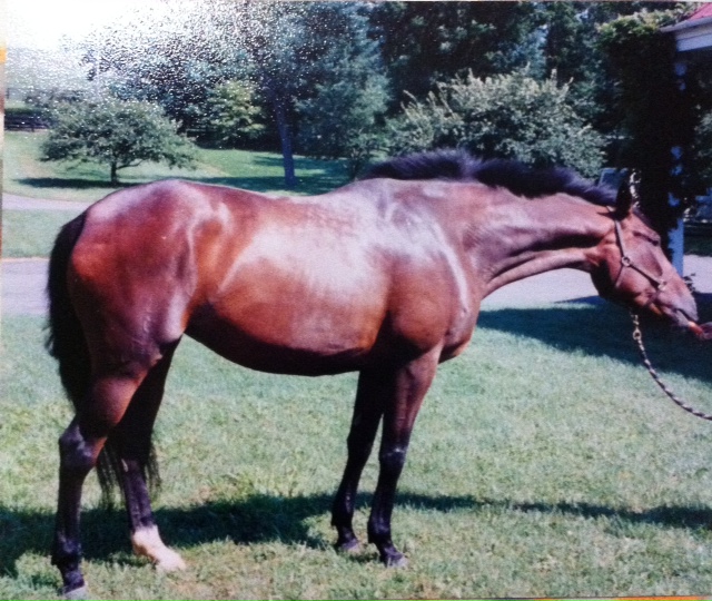 photo-5.JPG