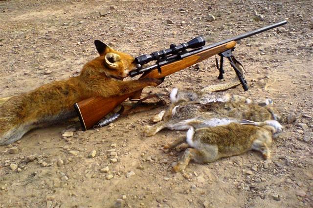 Foxhunting pic.JPG
