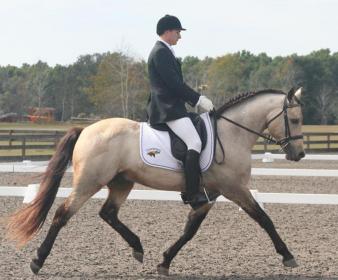 Top Gun Trot.jpg