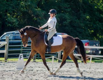 wally_sara_trot_side.jpg