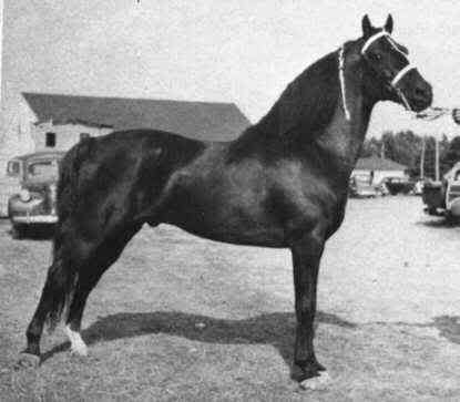 Ulendon