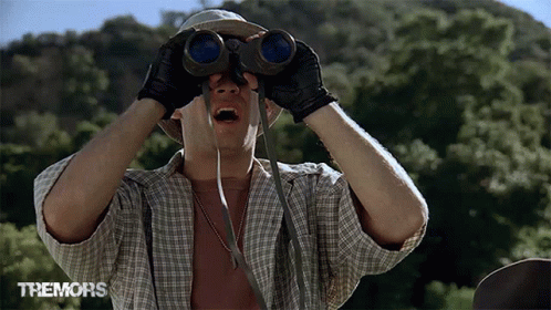 searching-looking