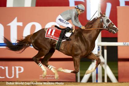 californiachrome-side-angle.jpg